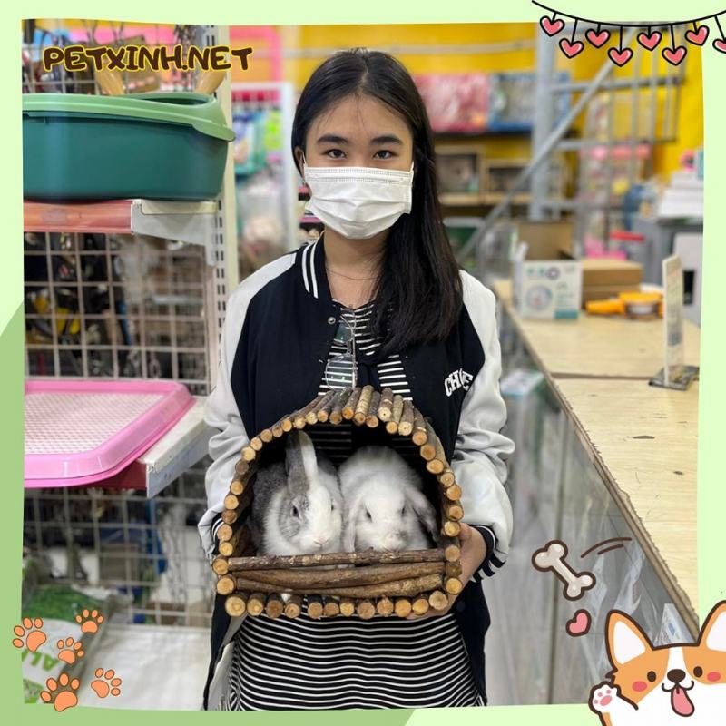 PetXinh.net - Nhím kiểng, Hamster, Thỏ, Sóc