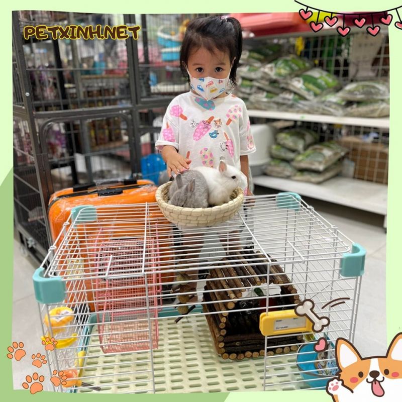 PetXinh.net - Nhím kiểng, Hamster, Thỏ, Sóc