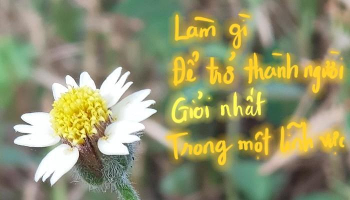 Phấn đấu trở thành người giỏi nhất trong lĩnh vực của họ