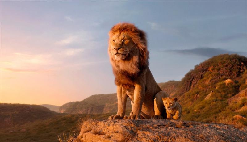 Phim Lion King (Vua sư tử)