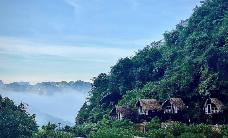 Phố Núi Farm