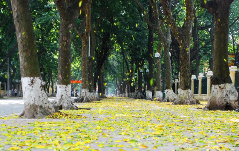 Top 12 Địa điểm chụp ảnh đẹp nhất ở Hà Nội vào mùa thu - toplist.vn