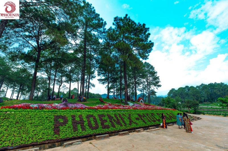 Top 7 Resort có view đẹp nhất Mộc Châu