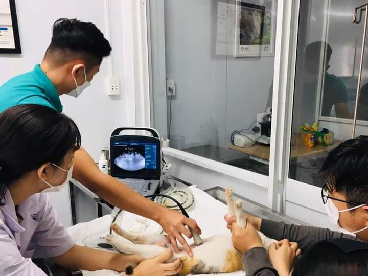 Phòng Khám Thú Y - 24/7 Pet Clinic