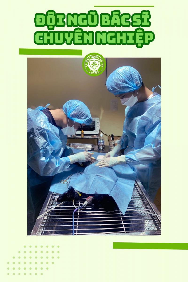 Phòng Khám Thú Y BẮC NINH- BAC NINH Vet Clinic