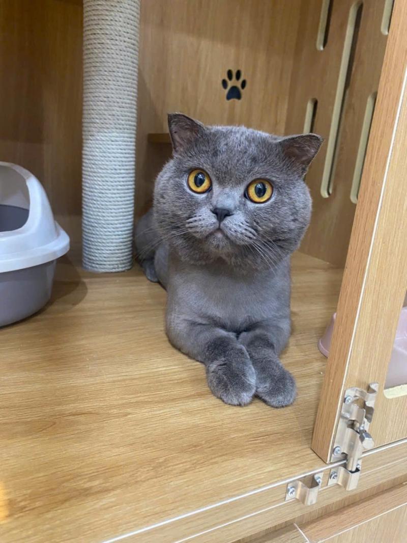 Phòng Khám Thú Y DocaVet