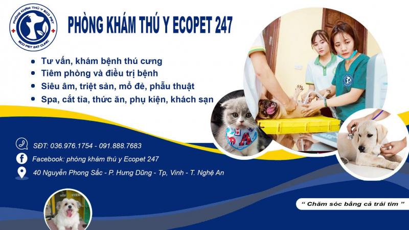 Phòng Khám Thú Y Ecopet247