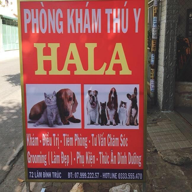 Phòng khám thú y Hala