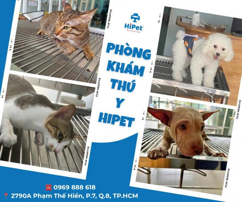 Phòng khám thú y HiPet