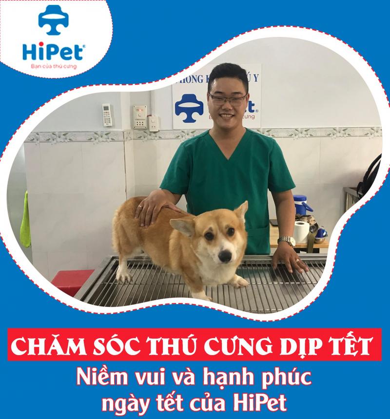 PHÒNG KHÁM THÚ Y HiPet