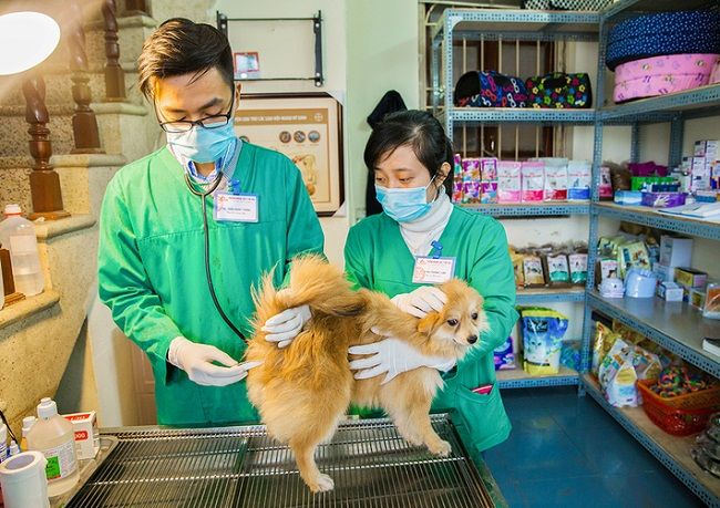 Phòng khám thú y Hoàng Long - Đậu Petshop Nông Cống