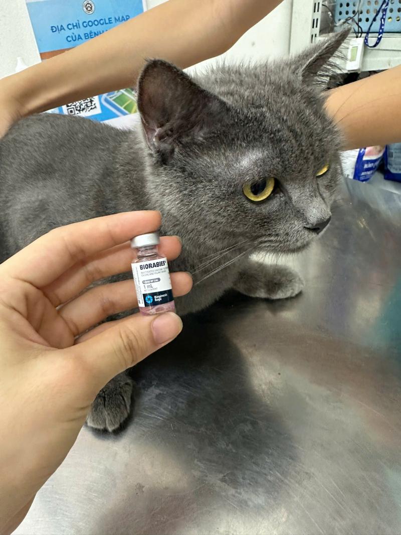 Phòng khám thú y Home Pet - Bắc Ninh