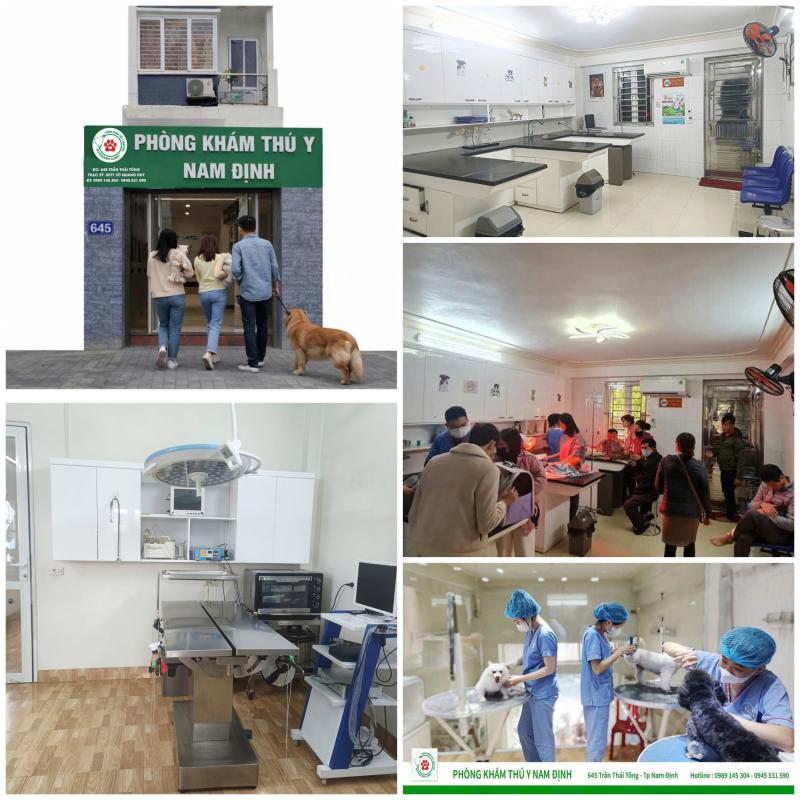 Phòng Khám Thú Y Nam Định