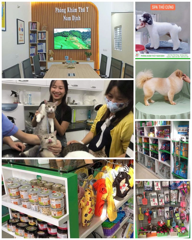 Phòng Khám Thú Y Nam Định