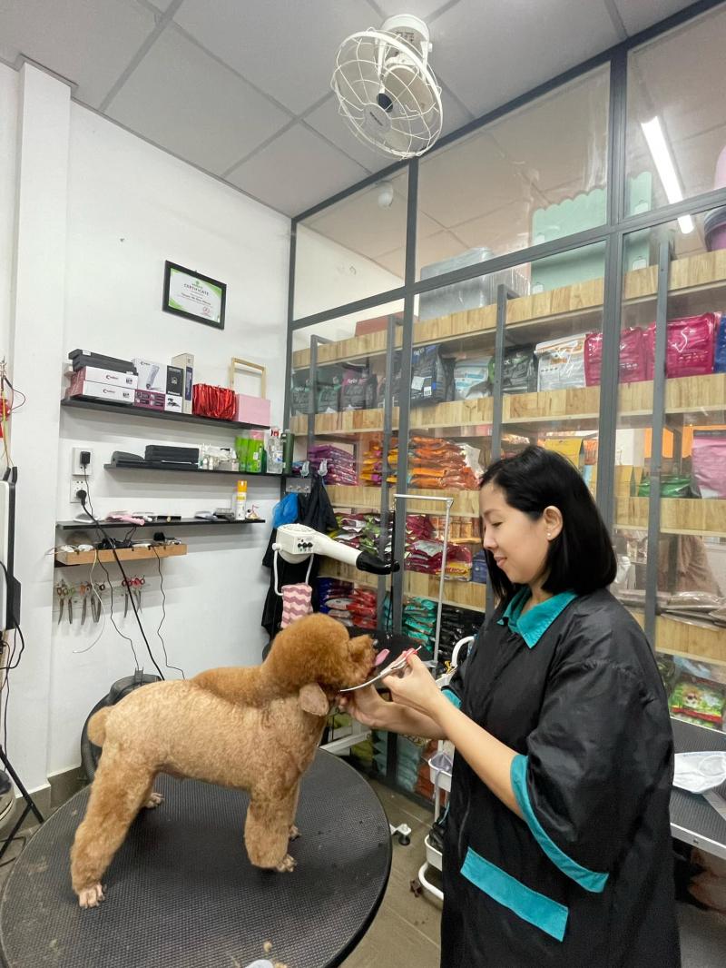 Phòng Khám Thú Y- Pet Doctor Phương