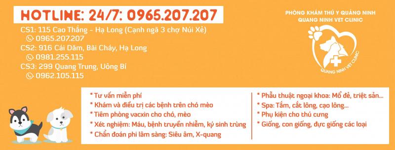 Phòng khám thú y Quảng Ninh