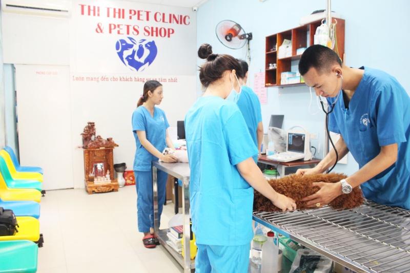 Phòng khám thú y Thi Thi - Thi Thi Pet Clinic