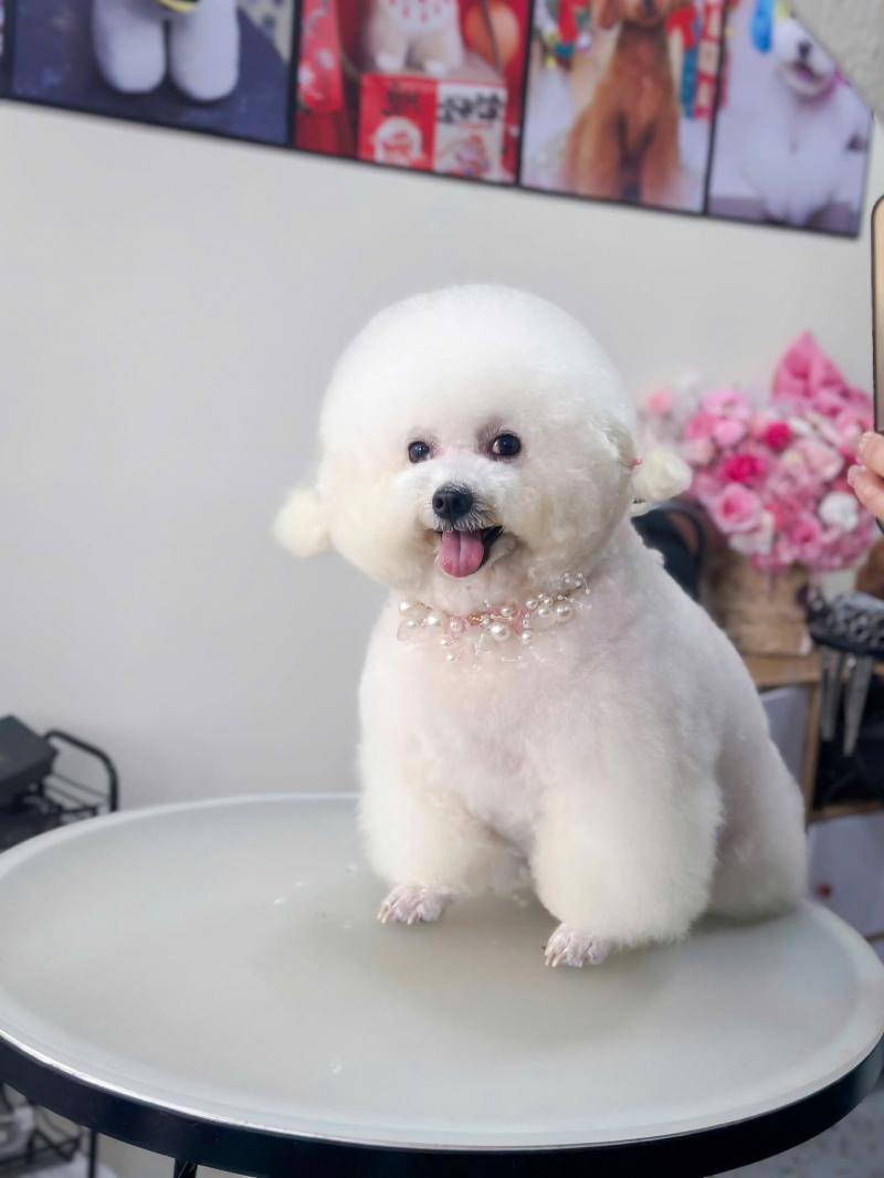 Phú Spa