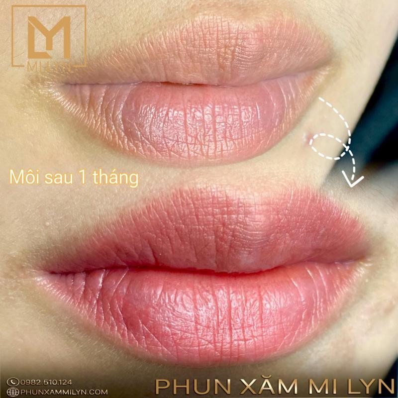 Phun Xăm MI LYN - Hải Phòng