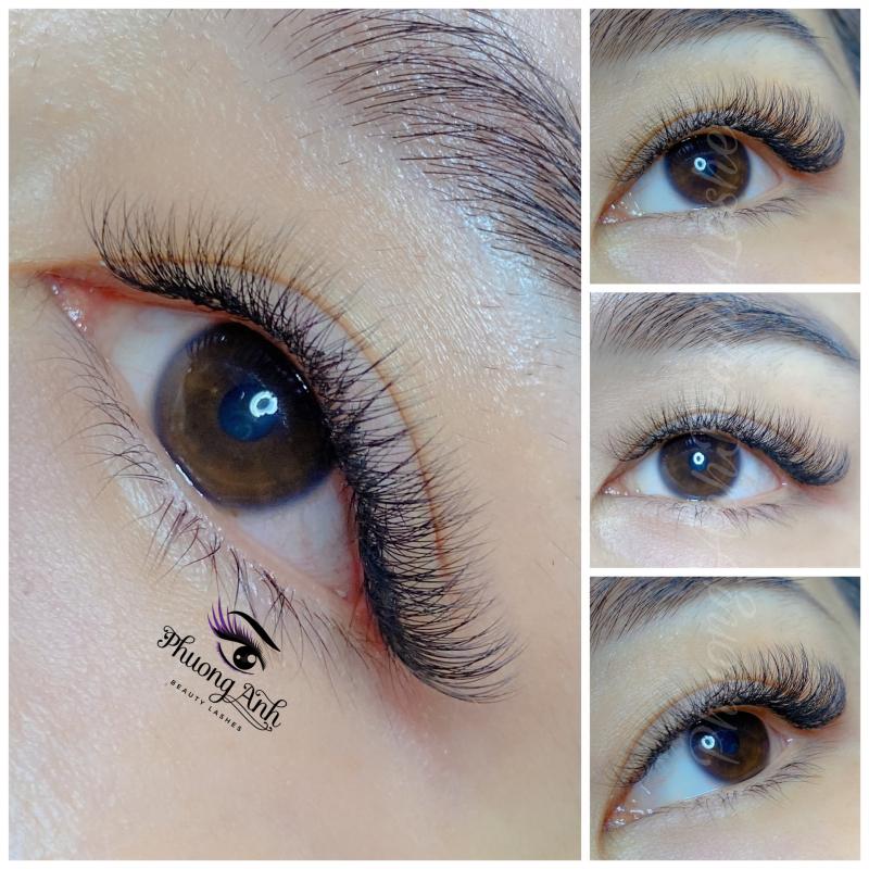 Phương Anh Beauty Lashes