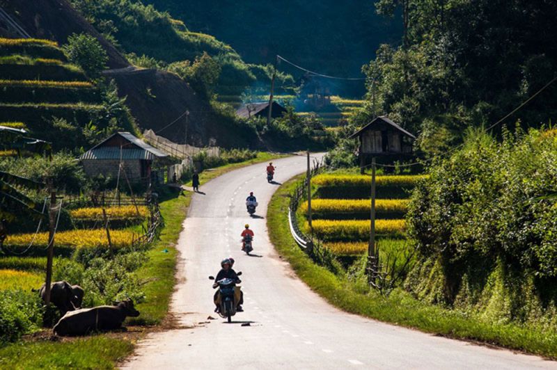 Các bạn cũng có thể đến Mù Cang Chải bằng xe khách, hoặc đặt các tour du lịch