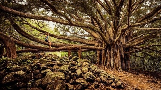 Pipiwai, Hawaii, Mỹ