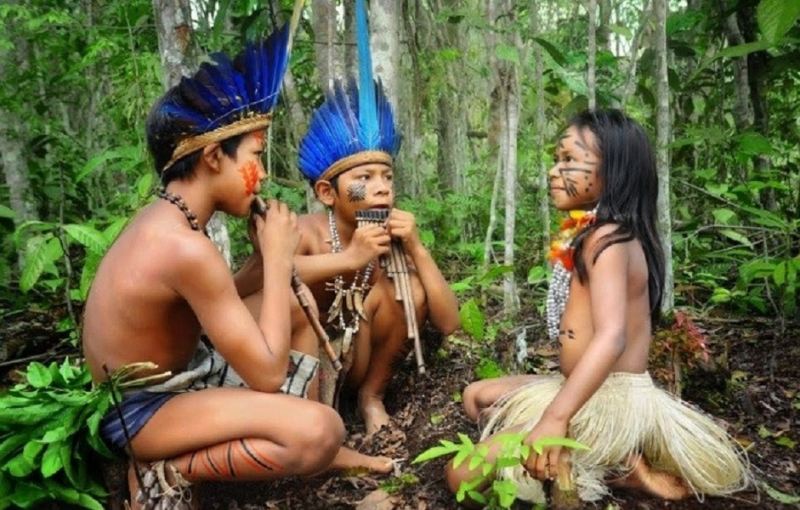 Pirahã: Amazonas, Brazil