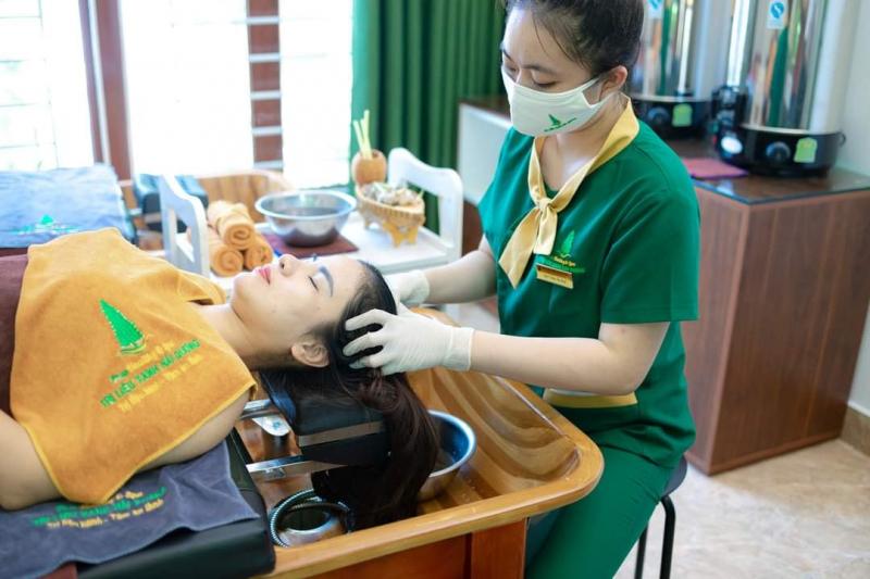 Pnus – Trị liệu xanh Hải Dương