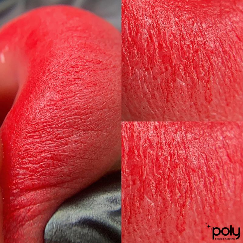 POLY Studio & Academy