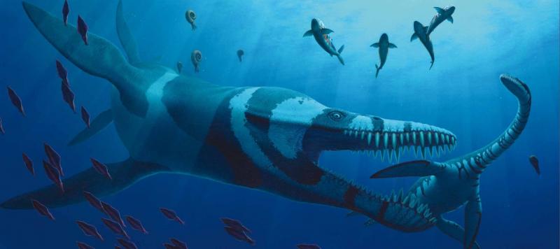 Predator X - Pliosaurs