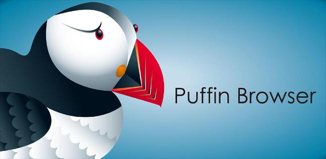 Puffin