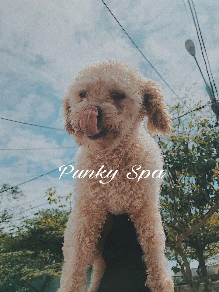 PunKy Pets