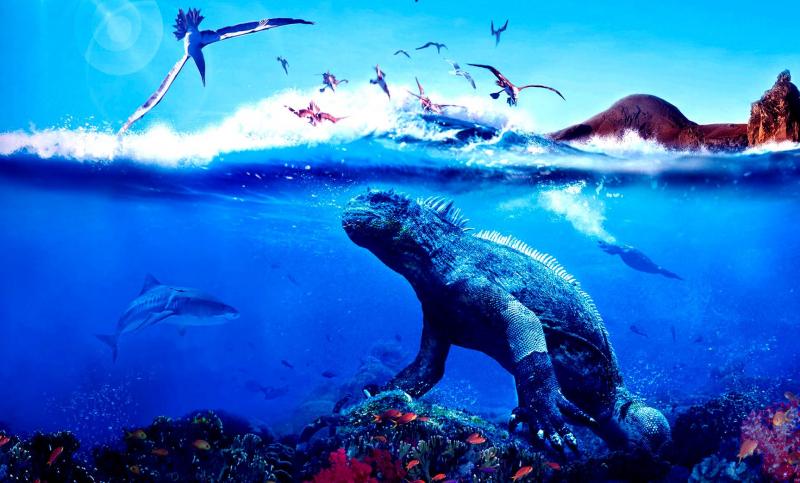 Quần đảo Galapagos