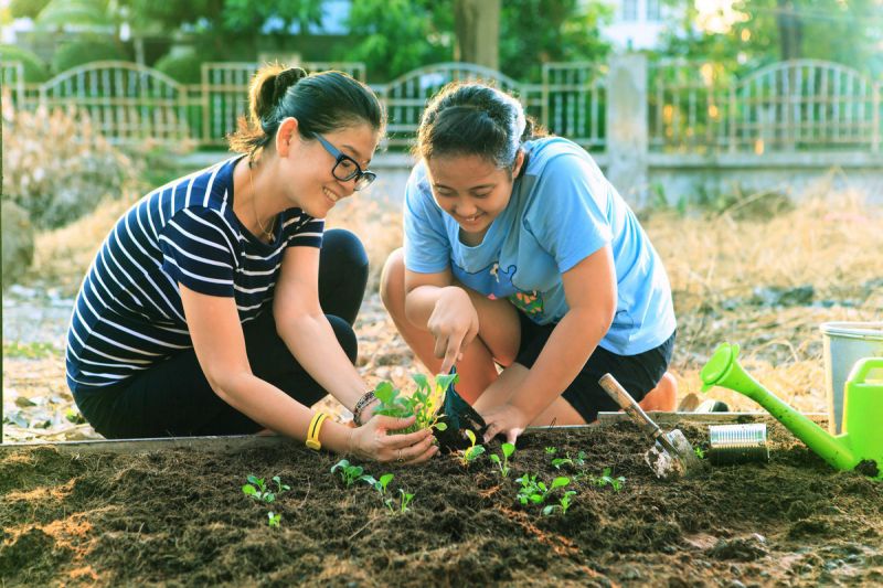 Quản lý nông trại - làm vườn