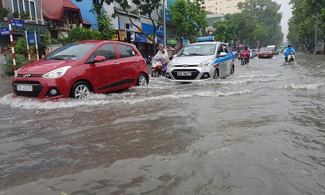 Quan sát kĩ và di chuyển chậm