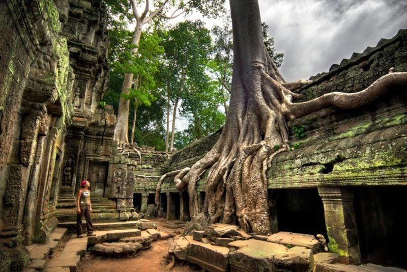 Đền Ta Prohm được đánh giá là ngôi đền đặc biệt nhất trong quần thể