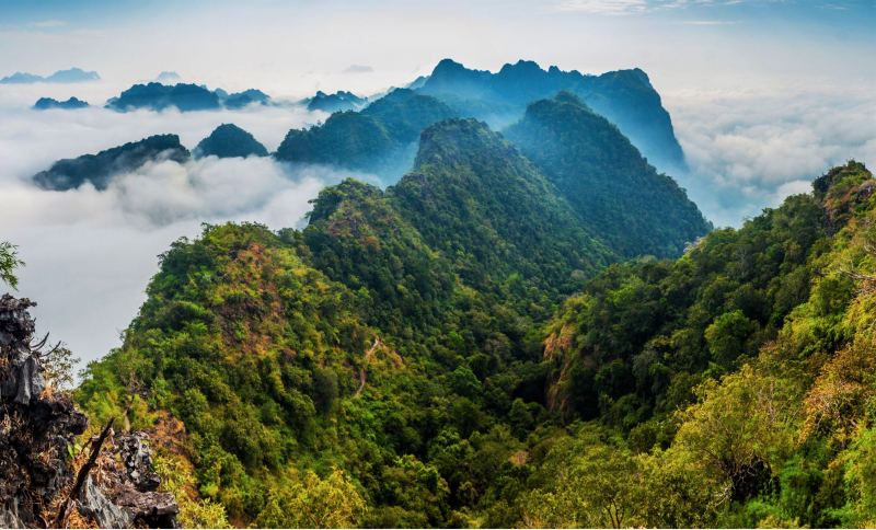 Quần thể rừng phía Bắc, Myanmar