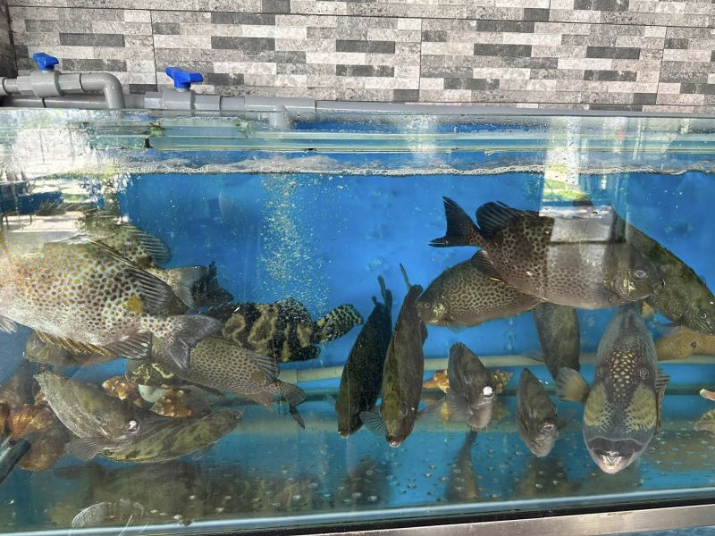 Quán Trường - Hải Sản Tươi Sống Bình Dân