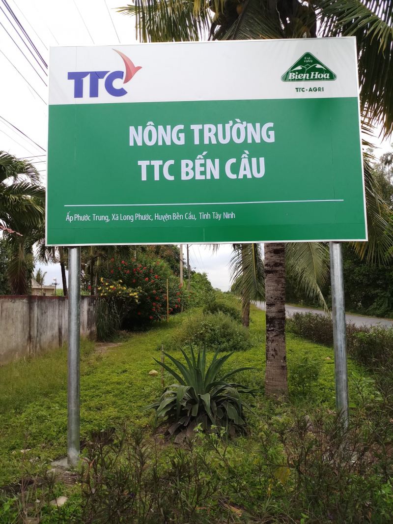 Công ty CP Tập đoàn Song Tạo