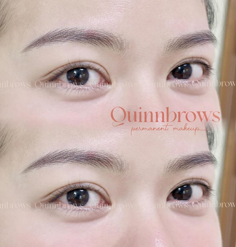 Quinnbrows