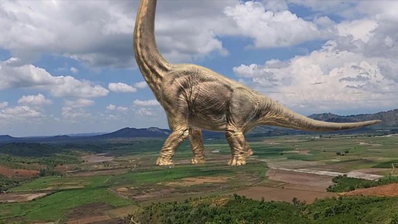 Răng của Mamenchisaurus