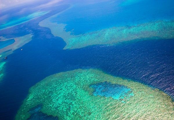 Rạn san hô Great Barrier (Úc)