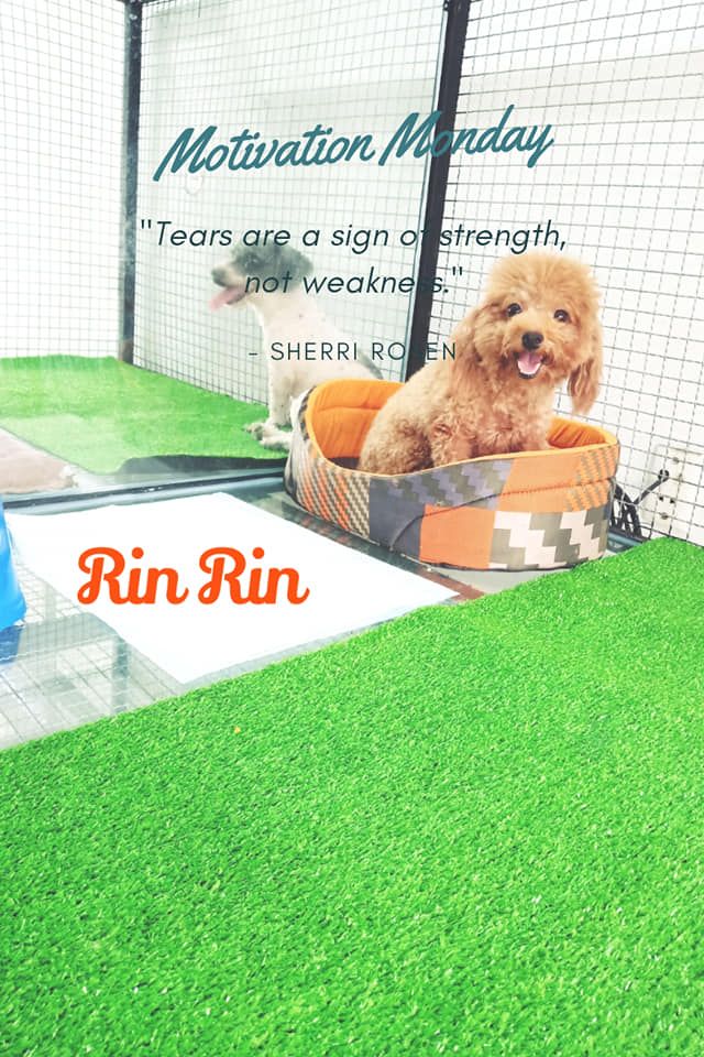 Rin Rin Spa