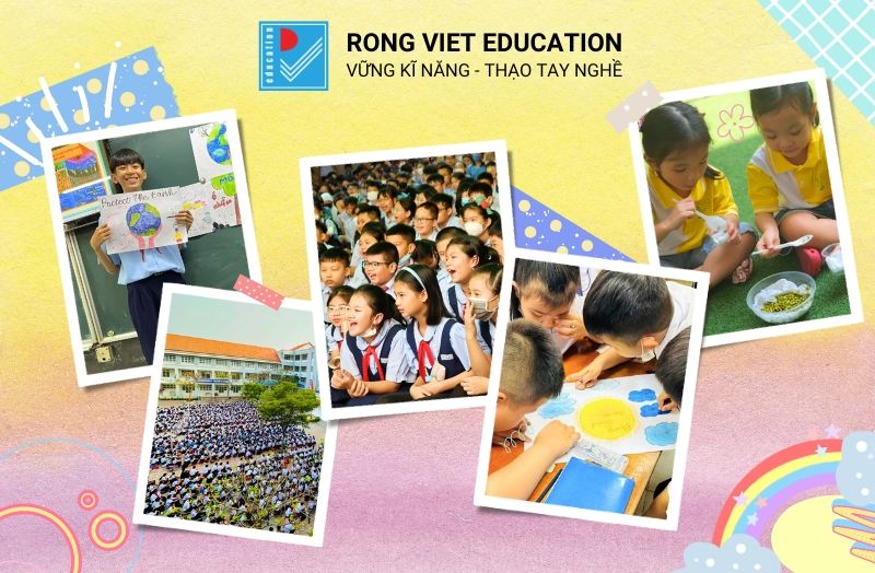 Rồng Việt Education