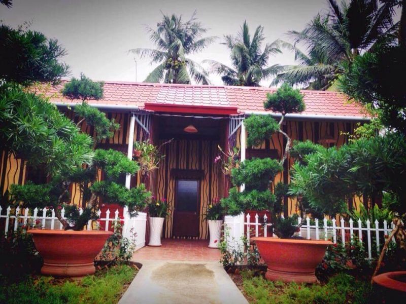 Lối nhỏ trong khu vườn hồng tại rose homestay