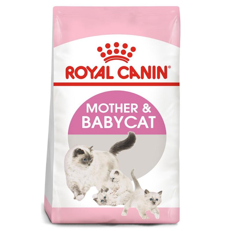 Thức ăn cho mèo Royal Canin