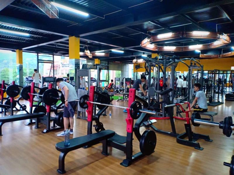 Royal Fitness Lào Cai