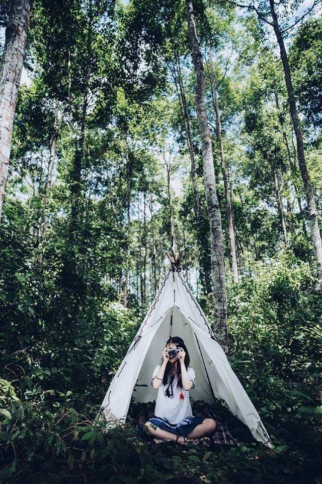 Cắm trại giữa rừng sao hoang sơ