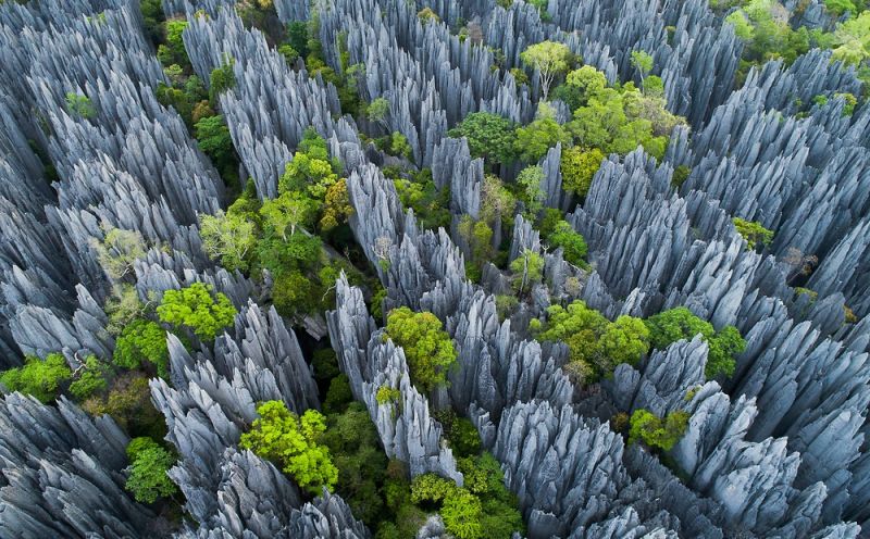 “Rừng đá” ở Tsingy de Bemaraha, Madagascar