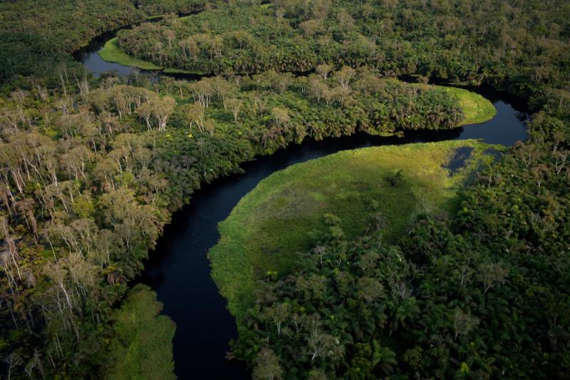 Rừng Congo bao bọc sông Congo uốn lượn